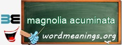 WordMeaning blackboard for magnolia acuminata